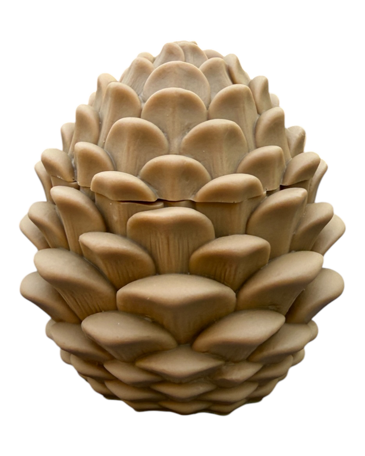Woodland Box fermée en forme de pomme de pin beige, fabriquée à la main en résine époxy