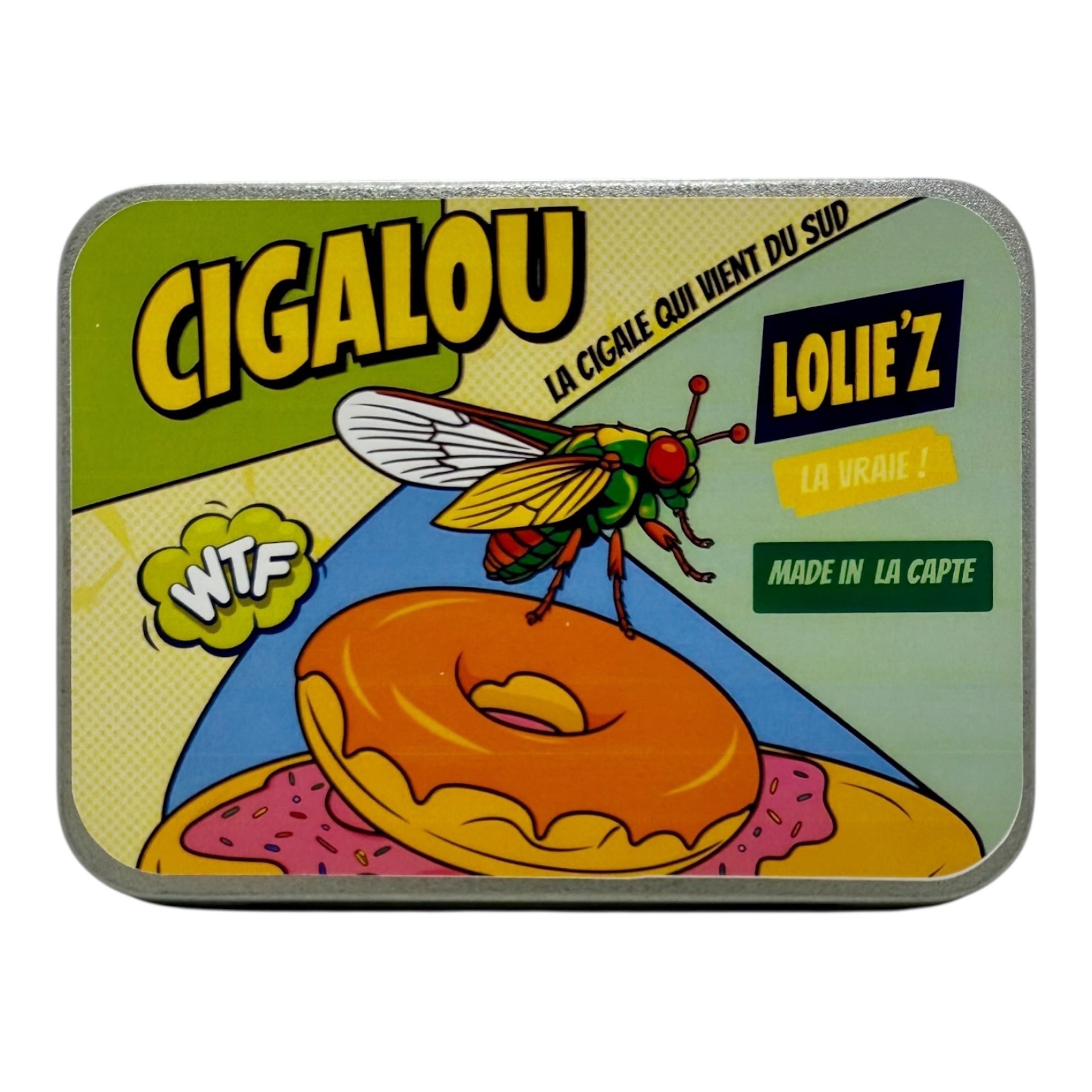 Création artisanale Lolie’z : cigale en résine époxy cachée dans une boîte mystère