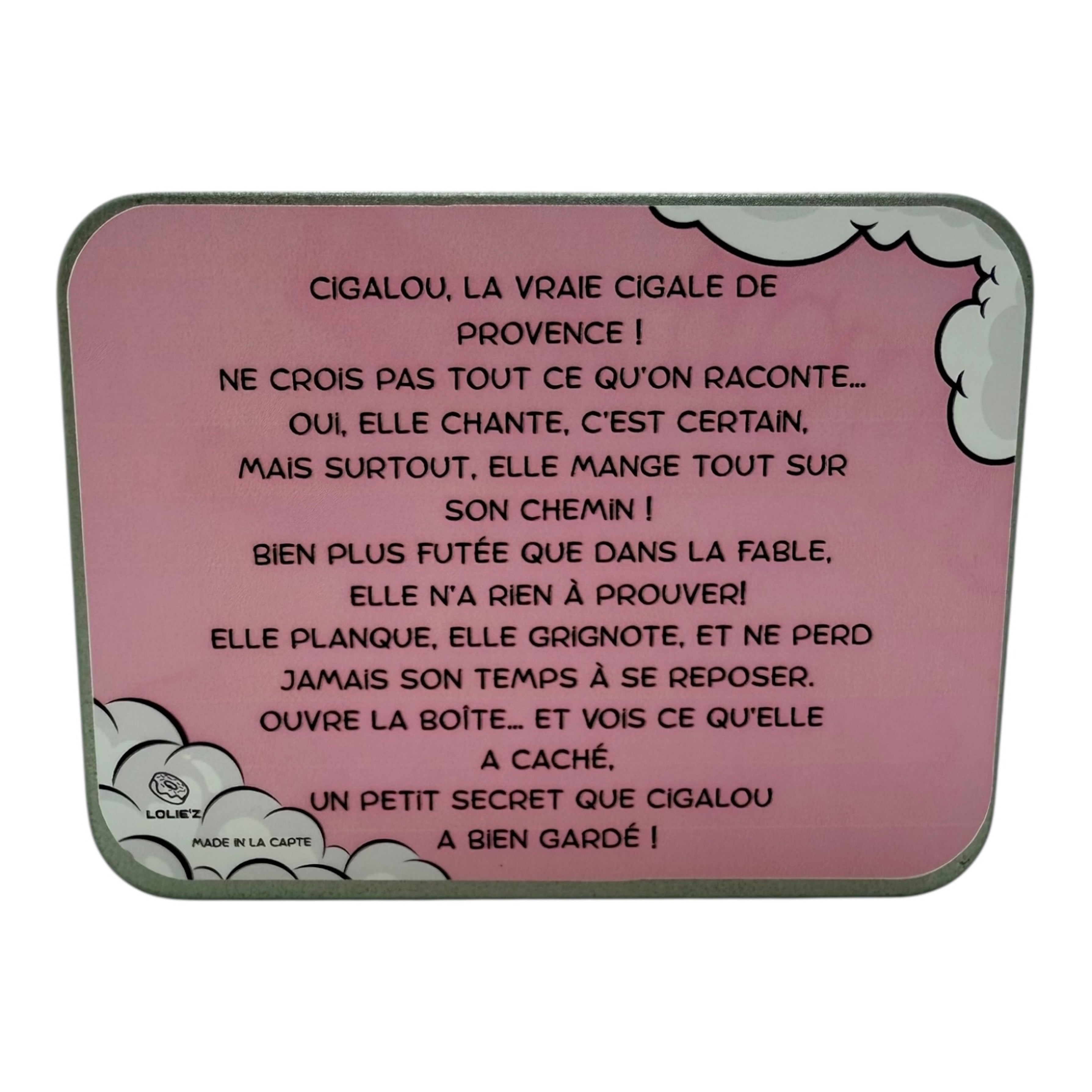 Cigale mystère en résine époxy artisanale, cachée dans une boîte numérotée à choisir