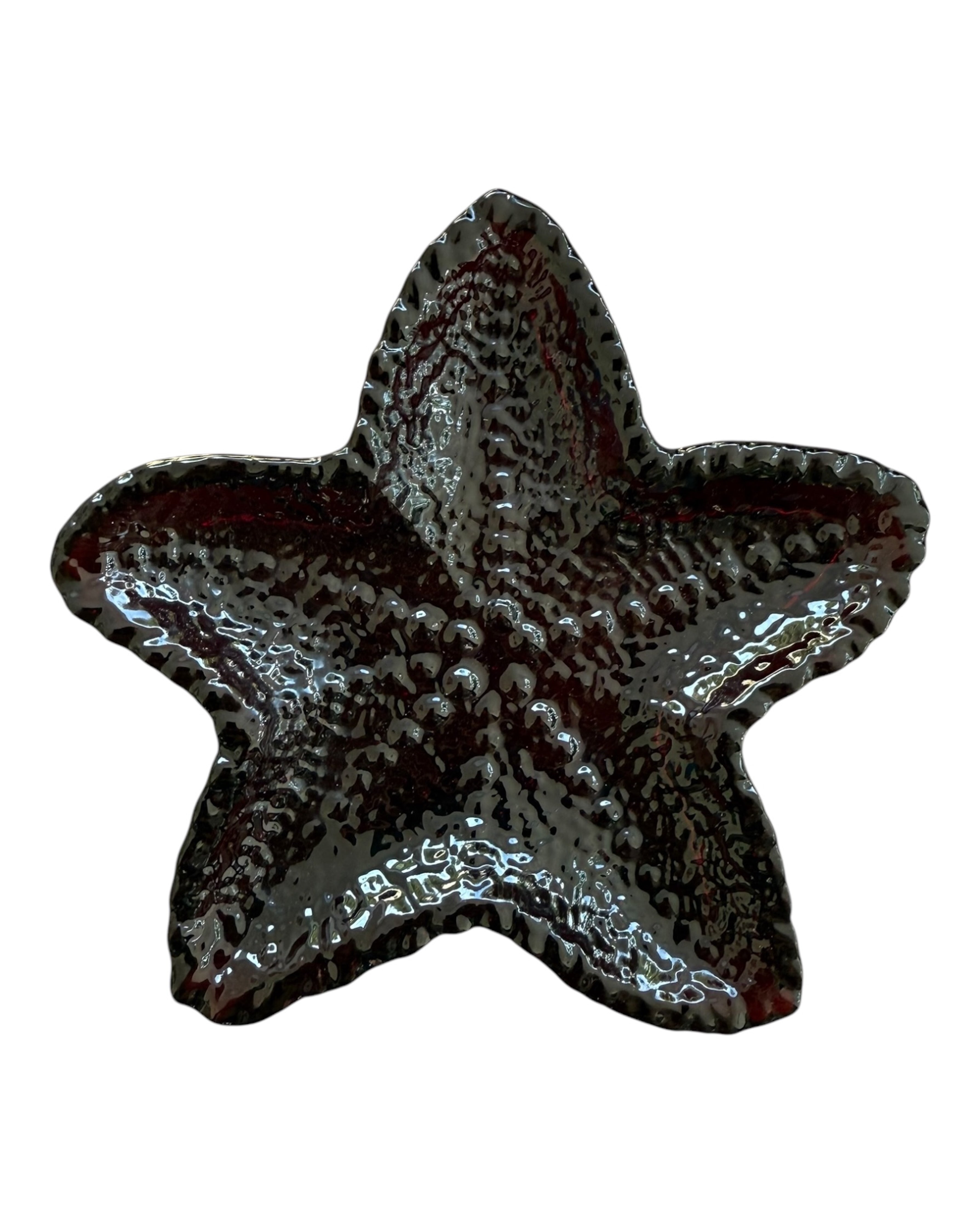 Etoile de mer en résine époxy lolie'z