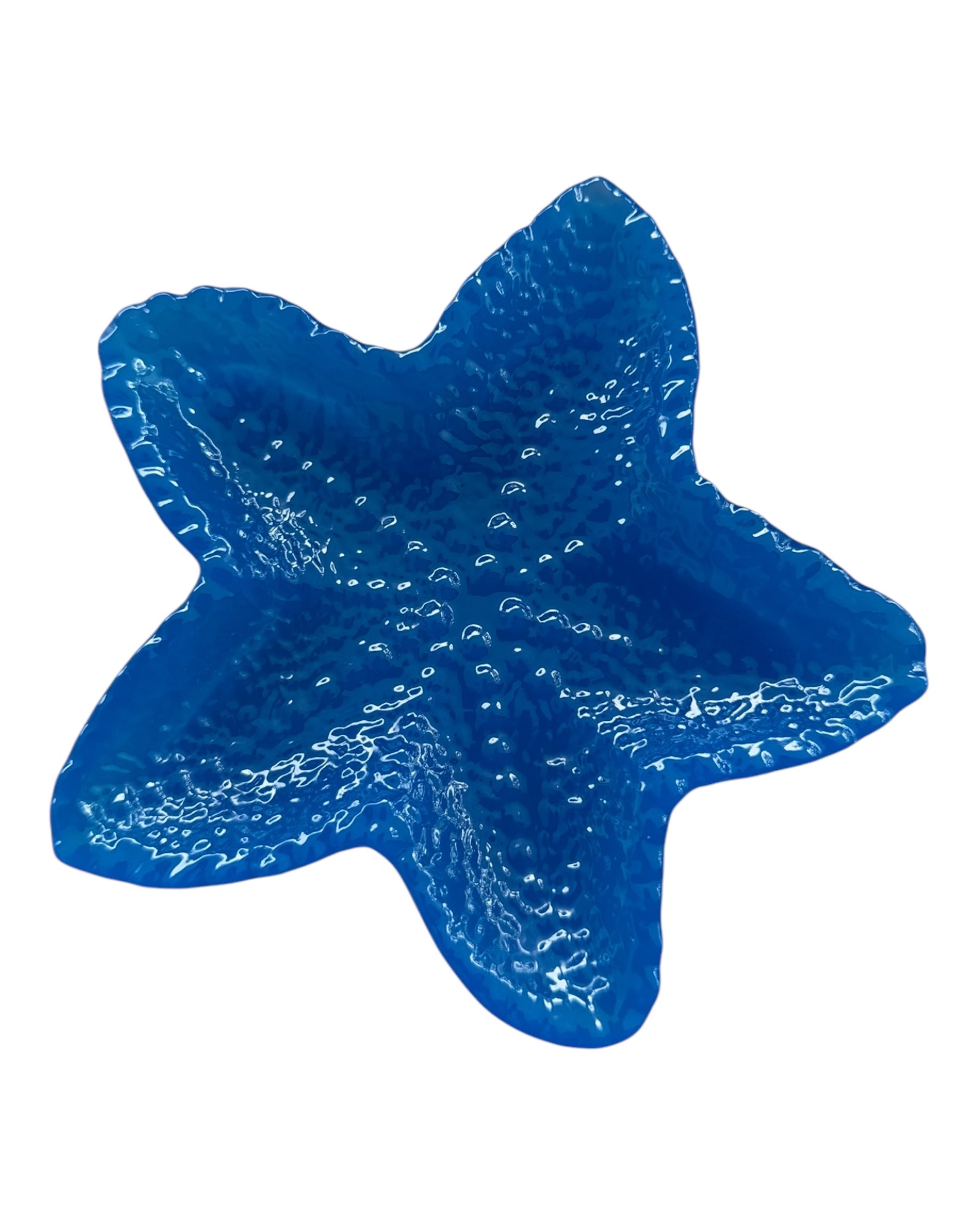 Etoile de mer en résine époxy lolie'z