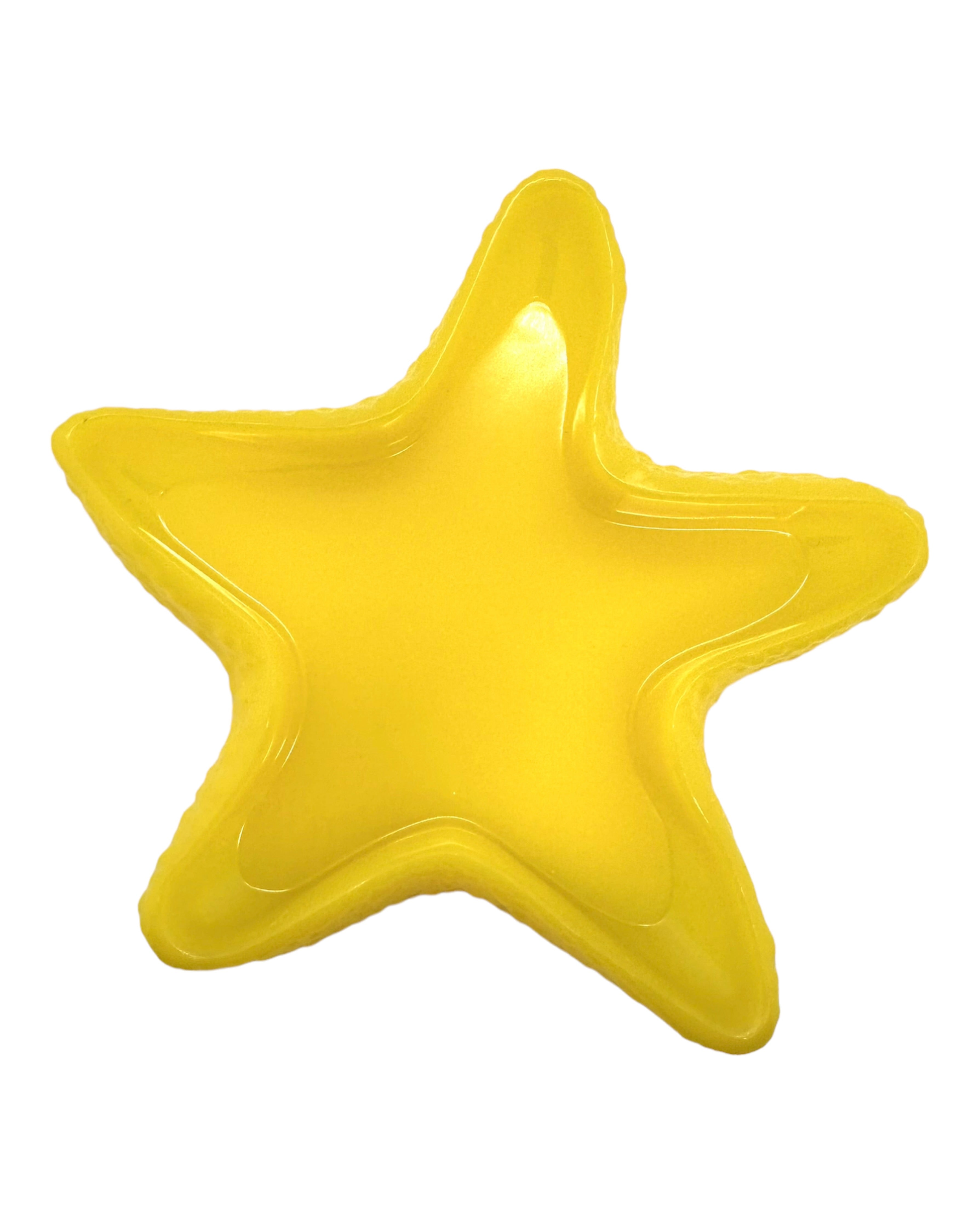 Vide poche étoile de mer lolie'z résine epoxy