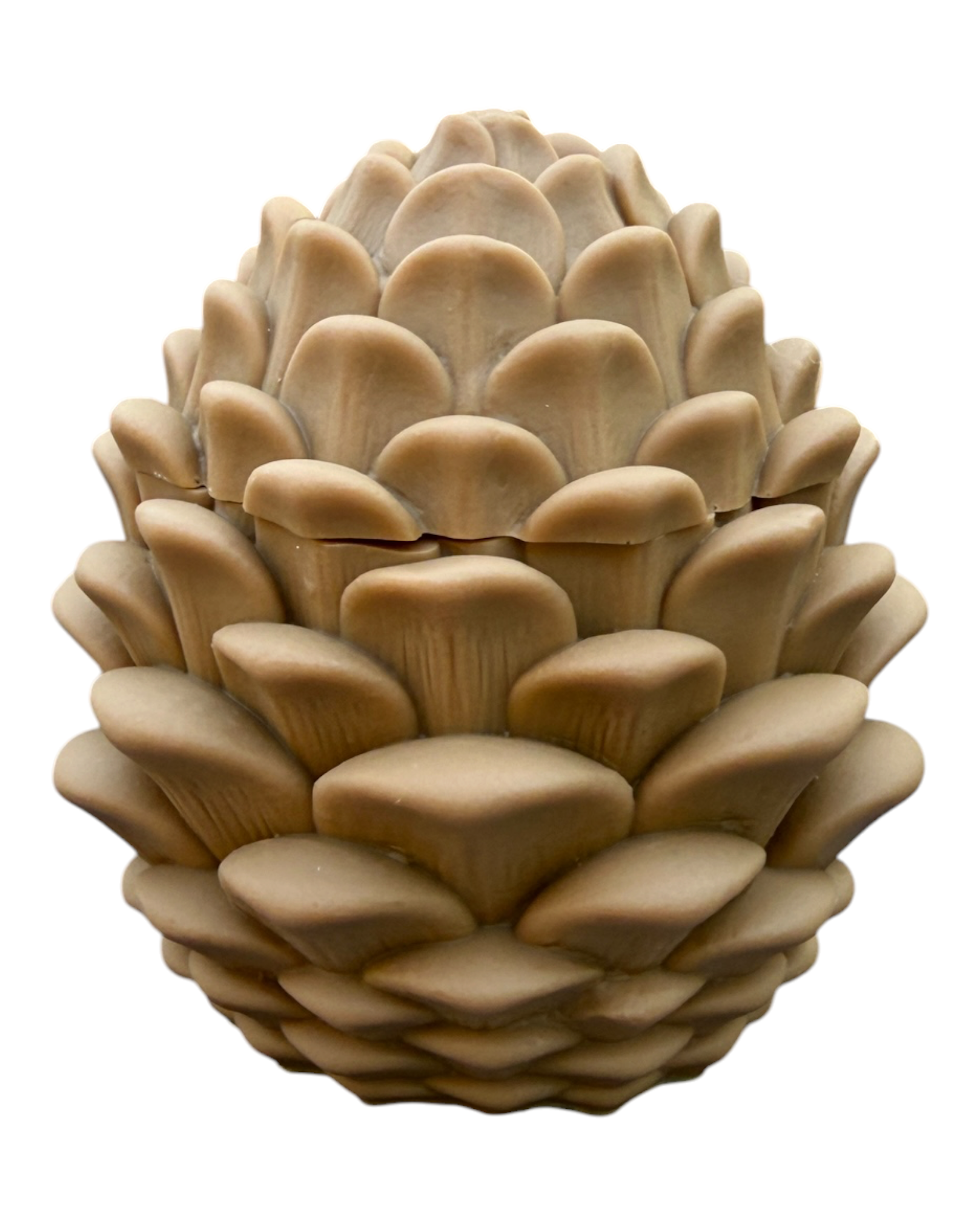 Woodland Box fermée en forme de pomme de pin beige, fabriquée à la main en résine époxy