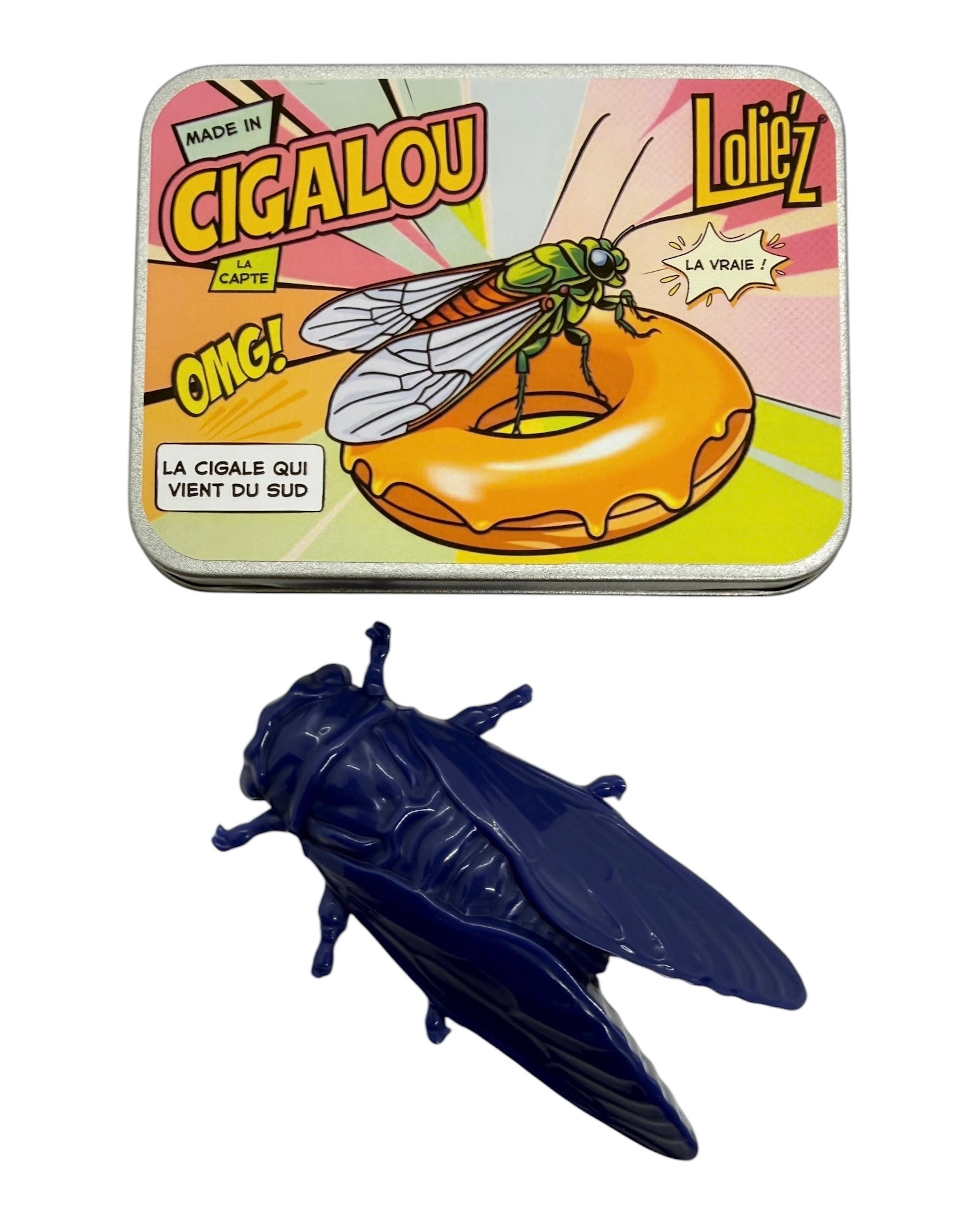 Cigale bleue en résine époxy avec sa boîte personnalisée, magnet décoratif fait main en Provence. Lolie'z