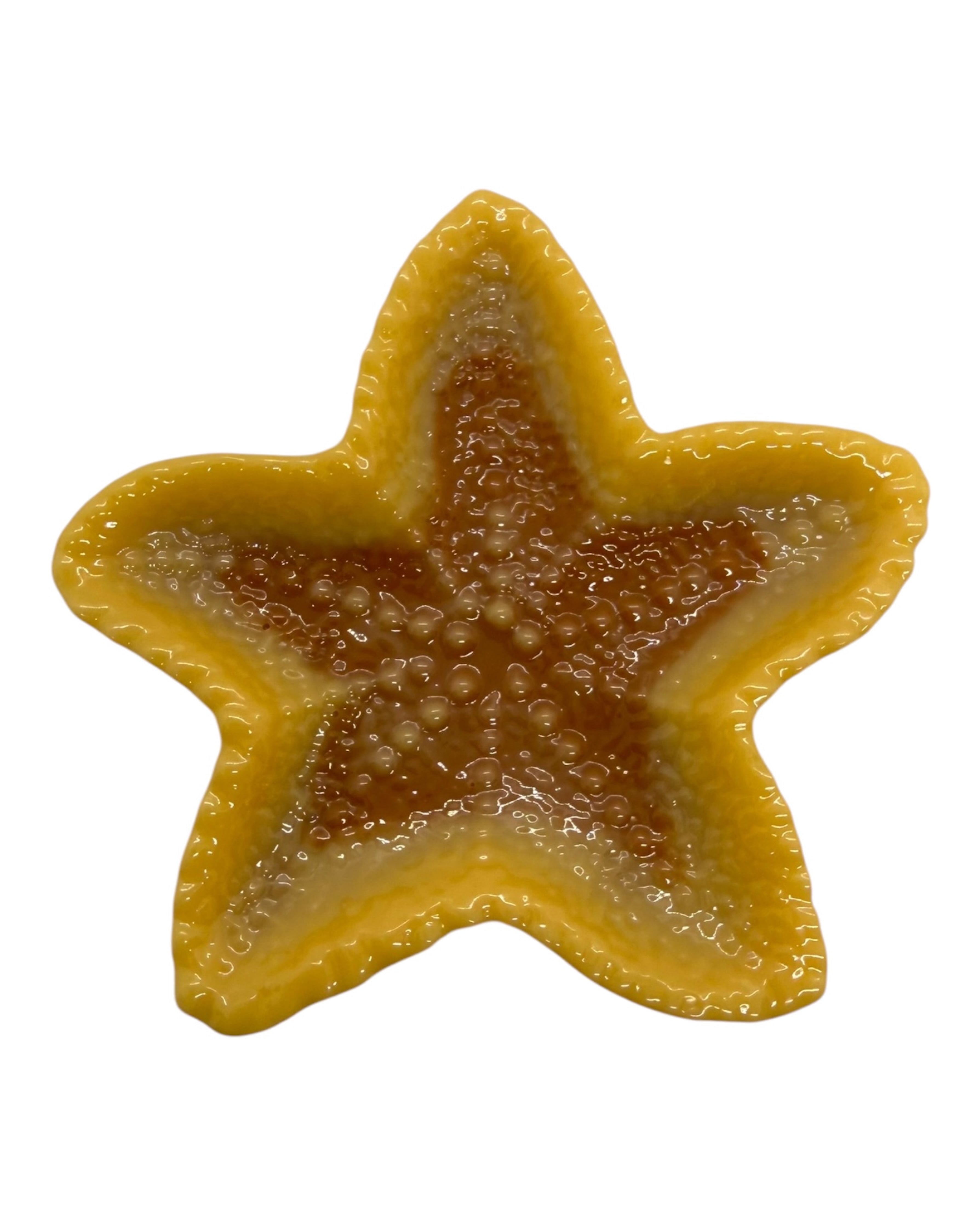 Etoile de mer en résine époxy lolie'z