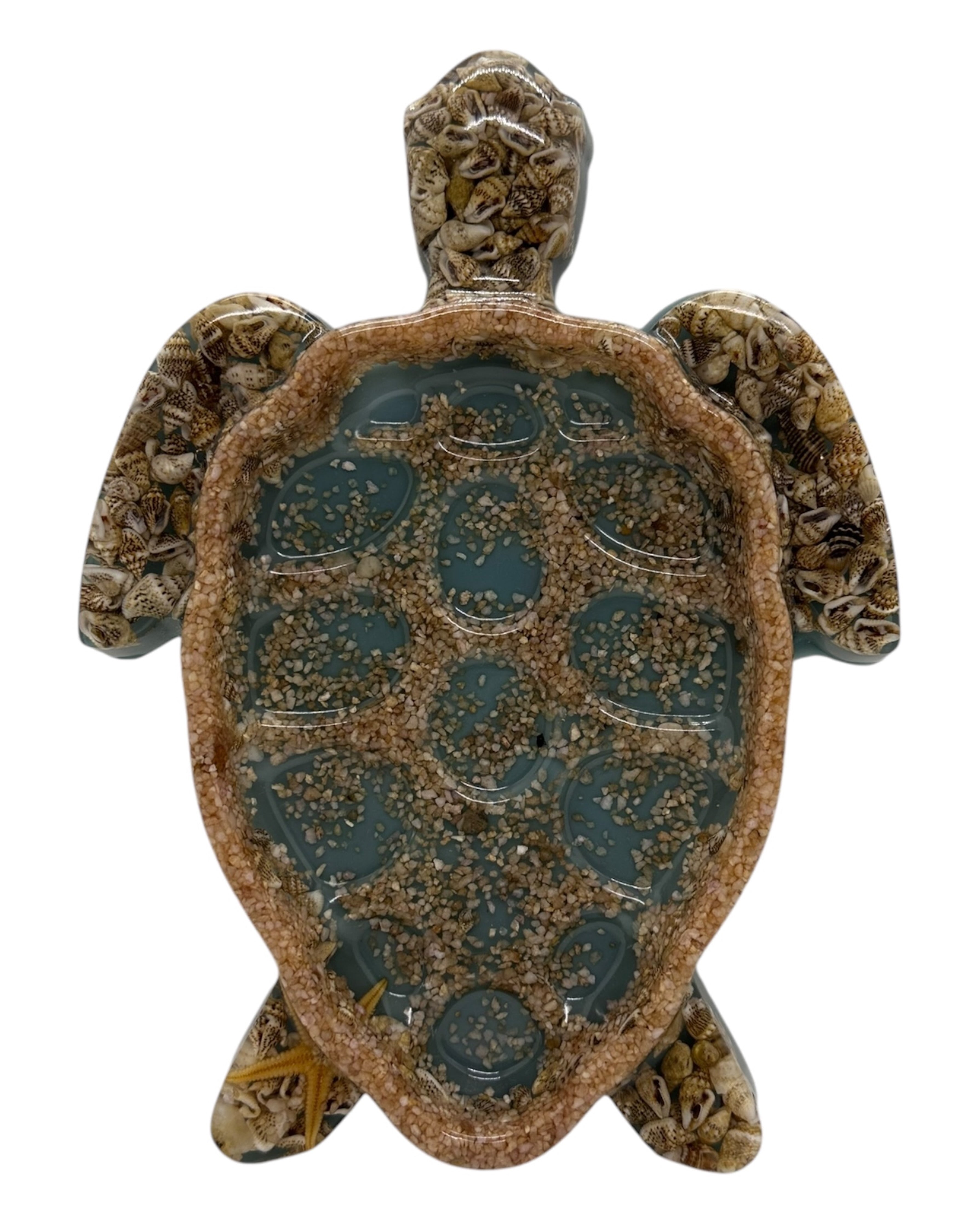 vide poche tortuga almanarre résine epoxy loliez
