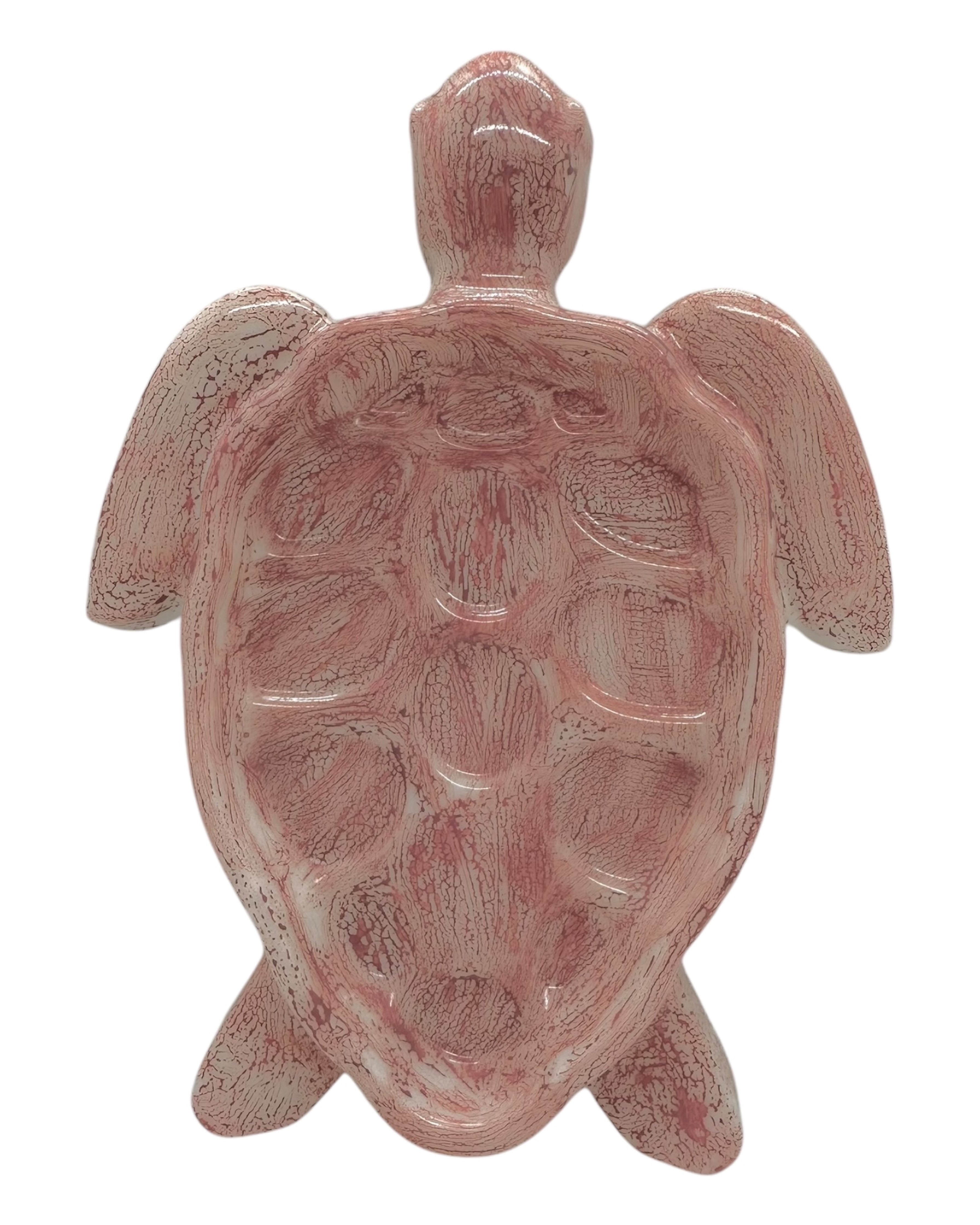 vide poche tortuga salins résine epoxy loliez